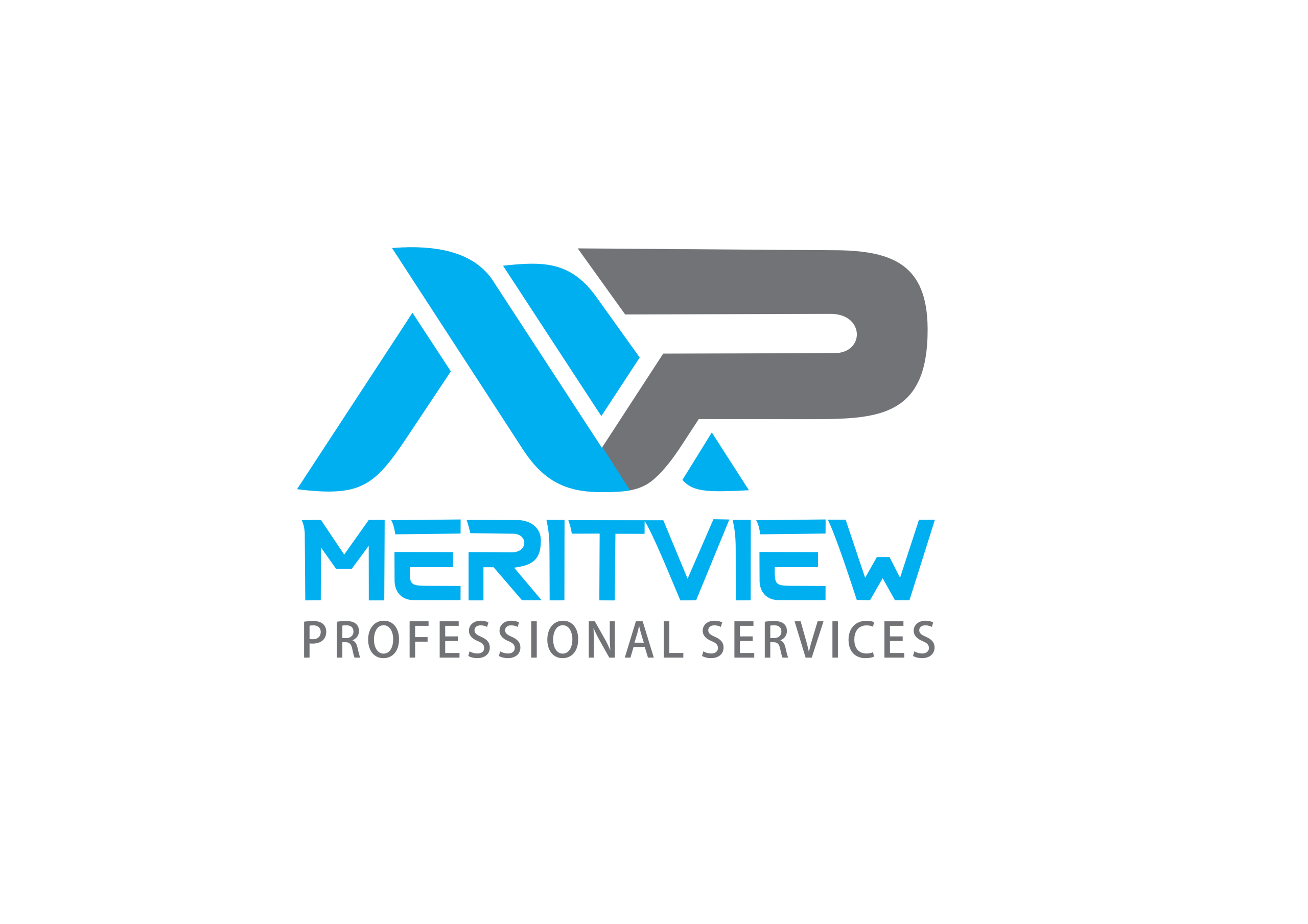 Meritview Professional Services